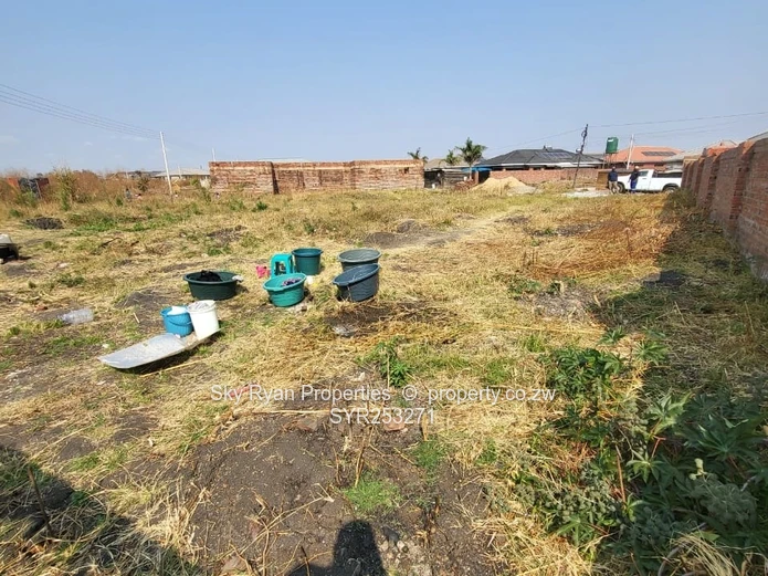 Madokero Stand For Sale