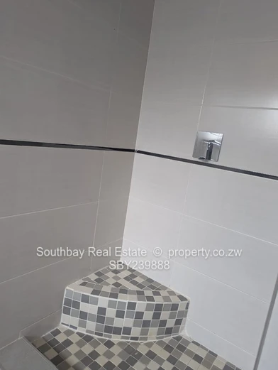 Investment Opportunity