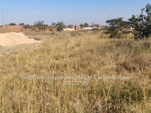 Westgate shine plus stand for sales