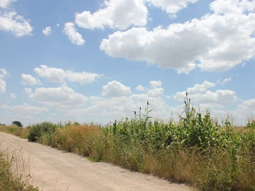 Commercial & Industrial Land