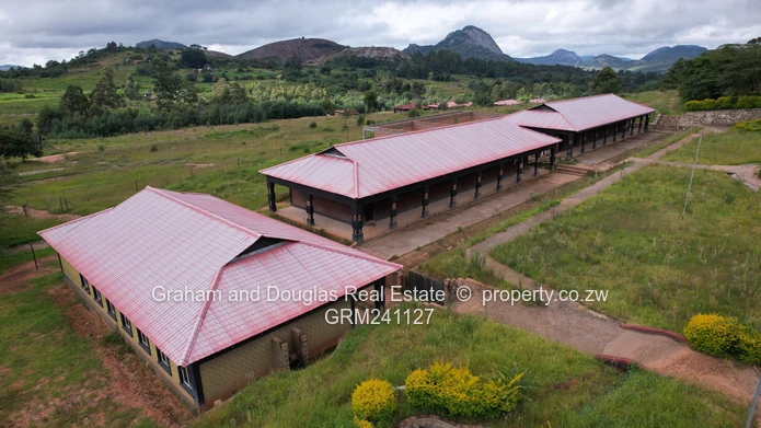 Property on Auction (Sole Mandate)