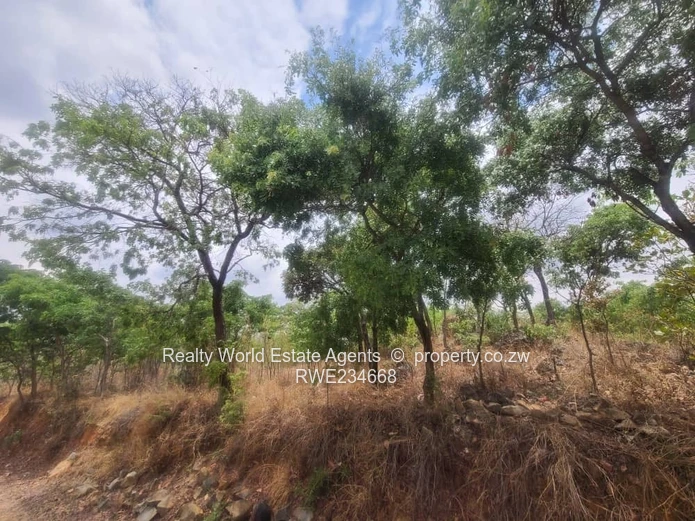 Glen Lorne 1.6ha Prime Land - Main Road Frontage