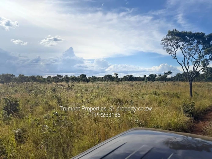 300m² Budiriro Stand — Open Views & Gravel Access