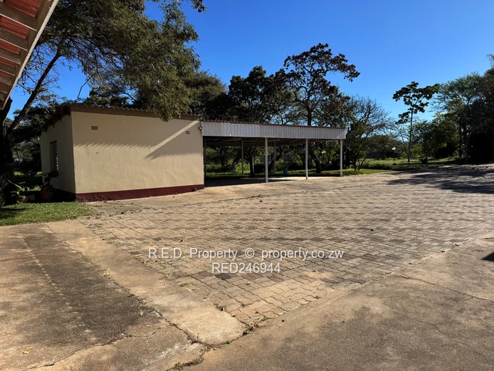 Prime Burnside Property!