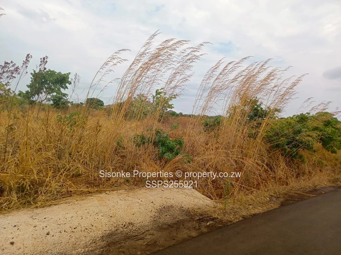 Exclusive Large Residential Stands For Sale – Pomona, Buckland Terraces