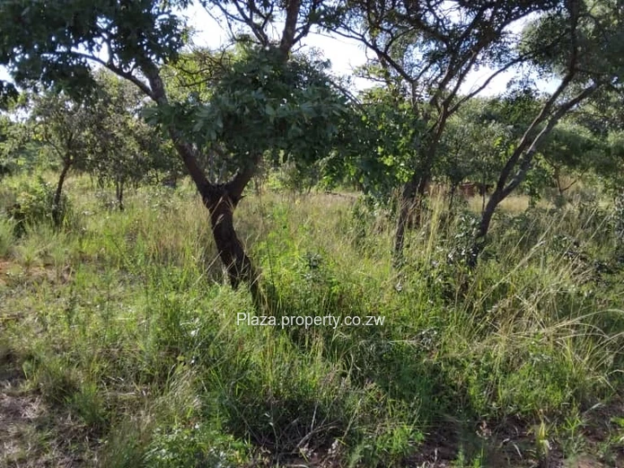 Own your space build your vision!!!!