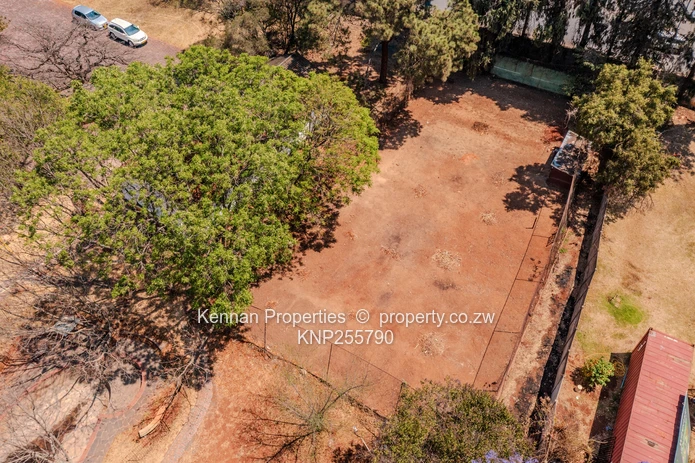 Trophy location - Ed Mnangagwa Rd + Glenara Ave