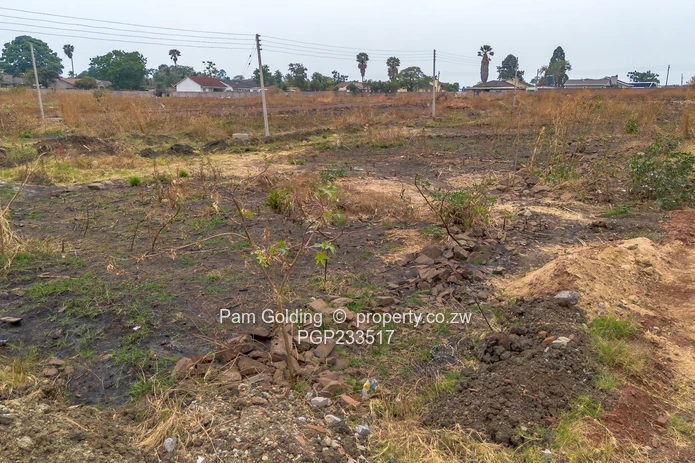 Large Corner Stand Available For Sale (Sole Mandate)