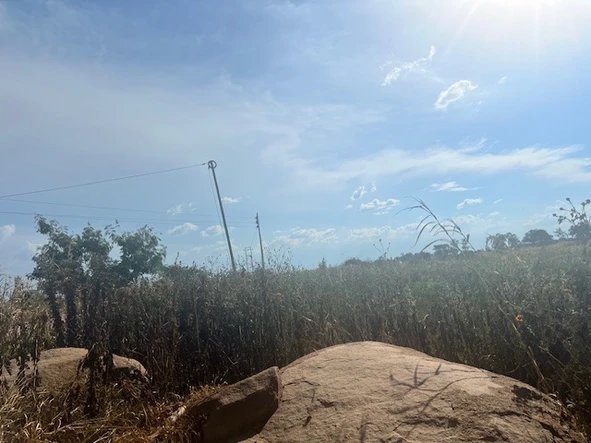 Commercial & Industrial Land