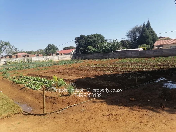 Norton Knowe, Mashonaland West 