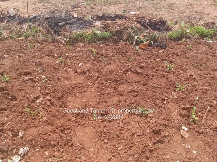 Stand For Sale In Granary Park Phase 2