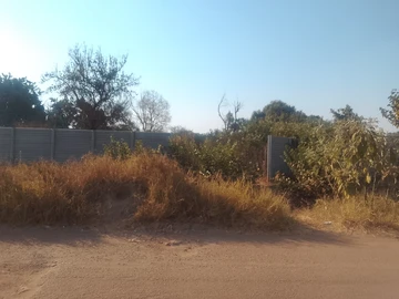 Stands & Residential Land