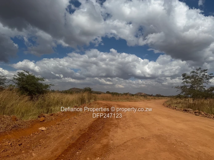 Terms Terms Terms Doornfontein