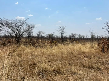 Farm & Agricultural Land