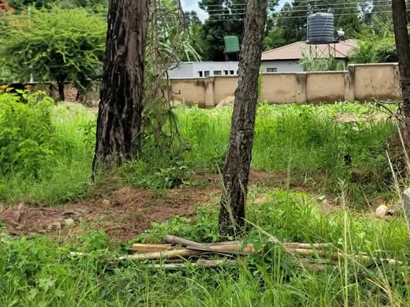 Stands & Residential Land