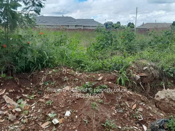 Serviced Upmarket Stand – Walled 2 Sides