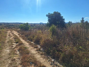 Commercial & Industrial Land