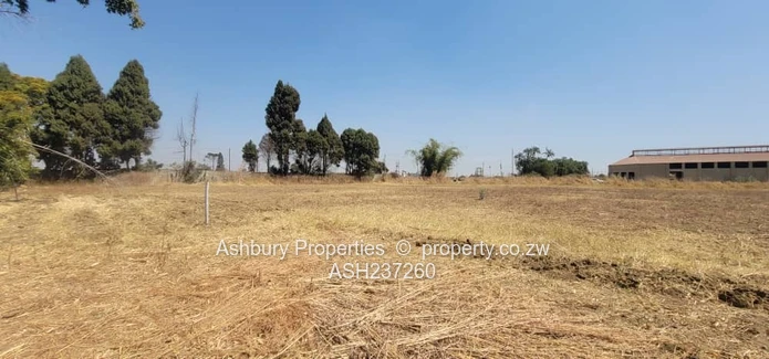 Golden Commercial Opportunity to Establish A Mall & More 