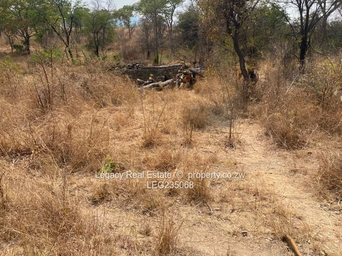 10 Hectares for Sale – Fertile Land with Stream | Flexible Terms