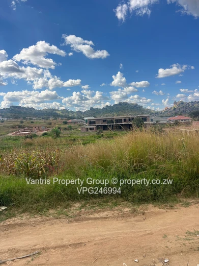Palm village stands for sale !! 