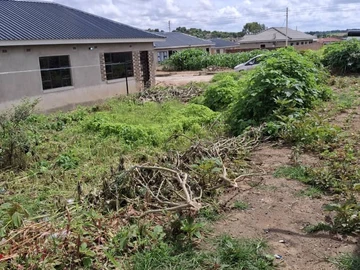 Stands & Residential Land