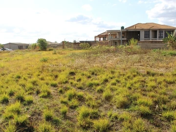 Stands & Residential Land