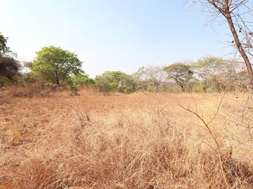 Farm & Agricultural Land