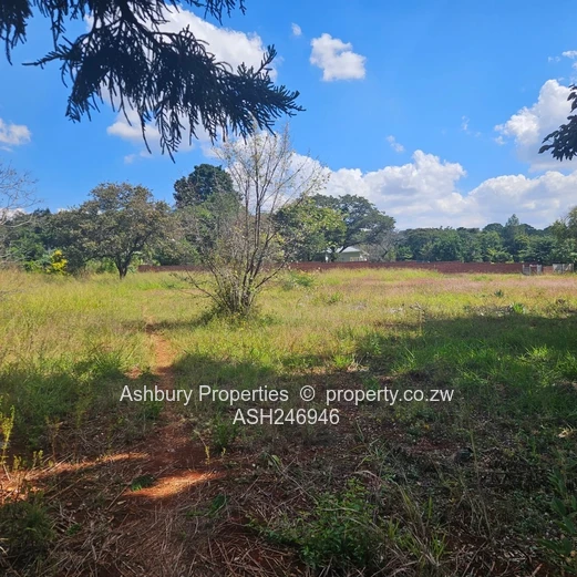 Prime Investment Opportunity in Mandara (Sole Mandate)