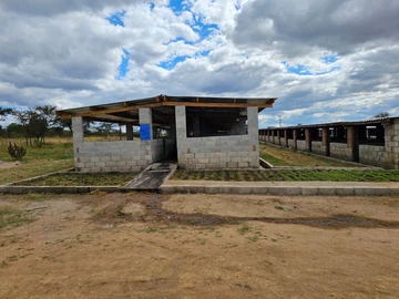 Farm & Agricultural Land