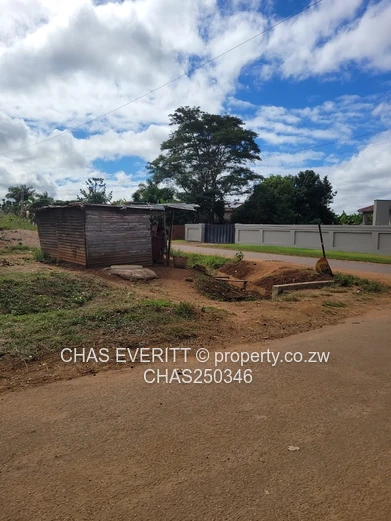 MT Pleasant heights Stand For Sale