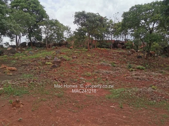 Ready To Build Stand; Gletwin's Finest