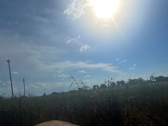 Commercial & Industrial Land