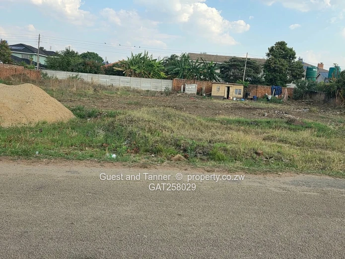A Choice Of 2 Stands For Sale In Westgate