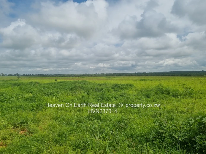 Green Gold For You Farmers!!