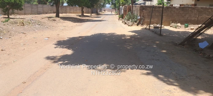 Investment Opportunity. 