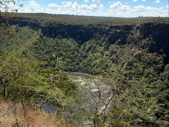Land