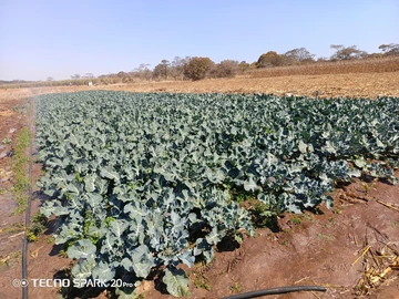 Farm & Agricultural Land