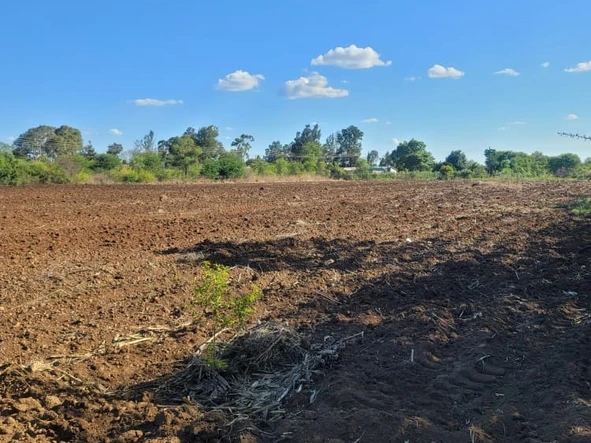 Farm & Agricultural Land