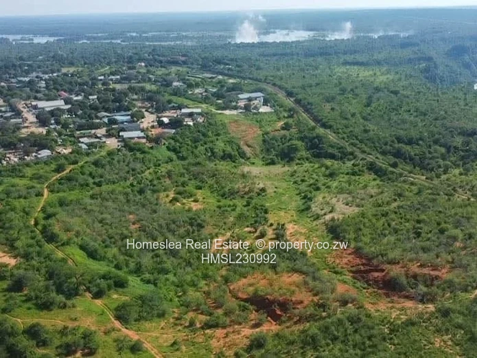 Victoria Falls Investment Opportunity 