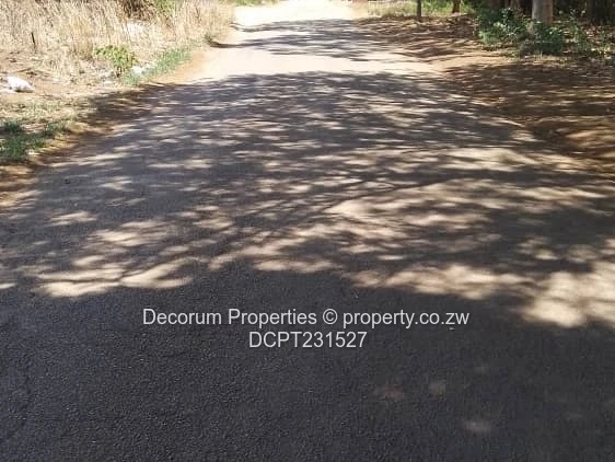 1000 m2 Marlborough Stands — Serviced.