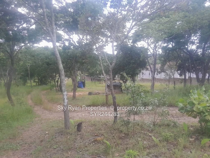 Carrick Creagh Stand  For Sale