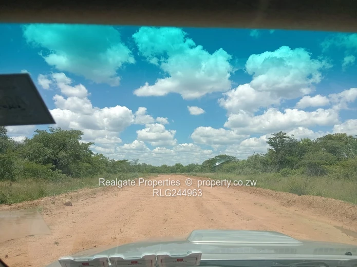 Plumtree Stands Now Available (Mavuka Heights)