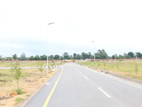 Stands & Residential Land