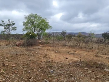 Farm & Agricultural Land