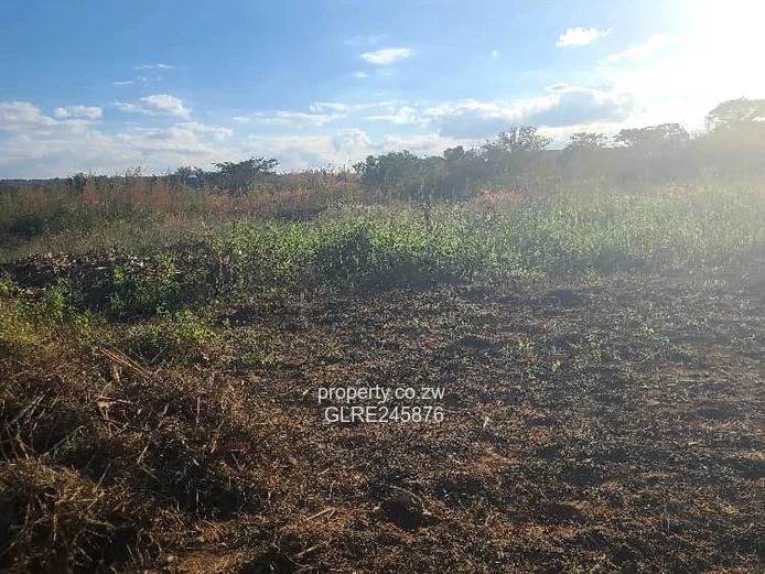 Sunlit 1000m² Crowhill Views Stand — Subdivision Potential