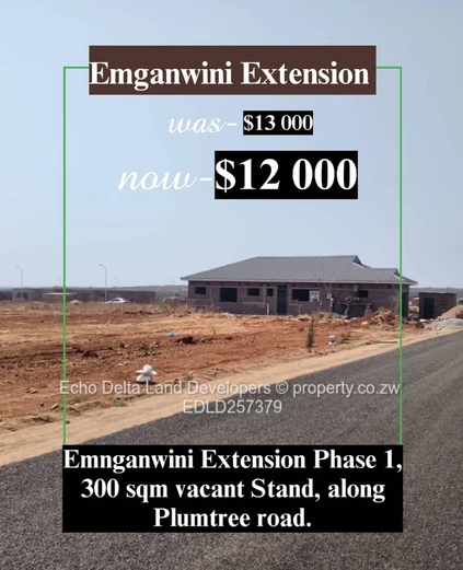 Bellevue Emganwini Extension High Density Stands 
