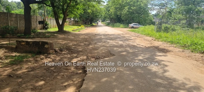 A Rare Opportunity To Own A Stand