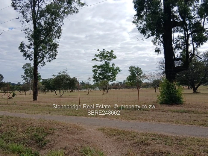 Prime 4000SQM stand in Riverside for sale
