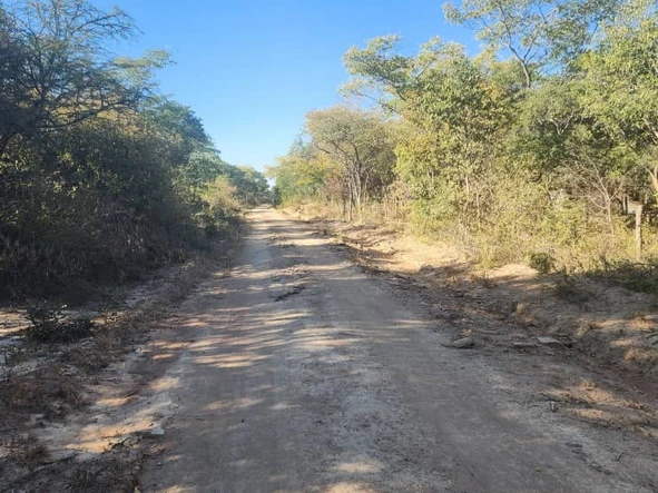 Farm & Agricultural Land