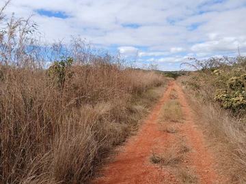 Farm & Agricultural Land